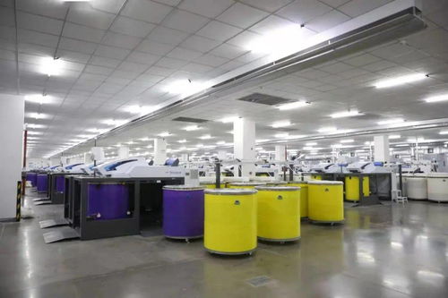 天之华集团获授国家涡流纺纱线产品开发基地，推动纺织产业创新升级