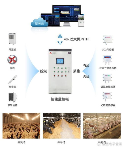 智慧畜牧养殖环境监测系统 自动化控制与智能化管理的技术融合